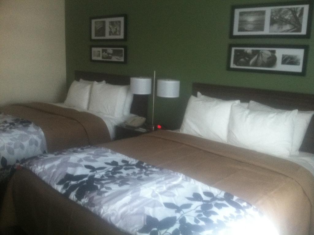 Sleep & Garden 3* Garden City